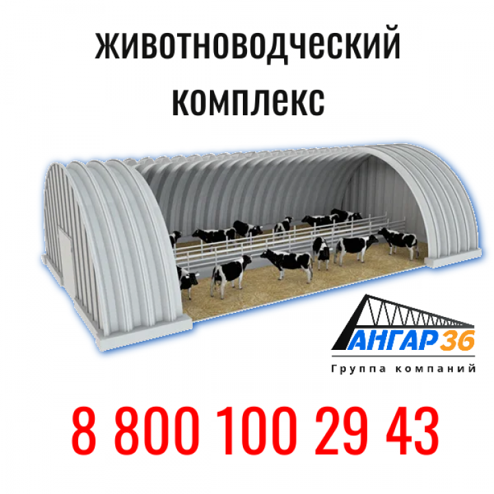 Выращивание телят в арочном бескаркасном ангаре: эффективное решение для Белгородской области от АНГАР36, ГК "Ангар 36"