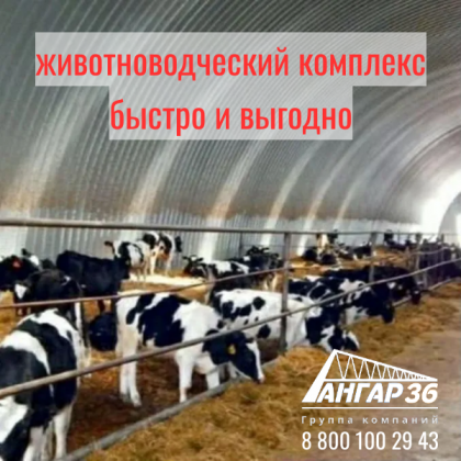 Ферма будущего: Арочные бескаркасные ангары – выгодное решение для животноводческого комплекса в Калужской области!, ГК "Ангар 36"
