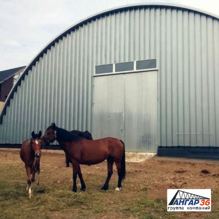 Строительство ангара для содержания лошадей Воронеж цена, ГК "Ангар 36"