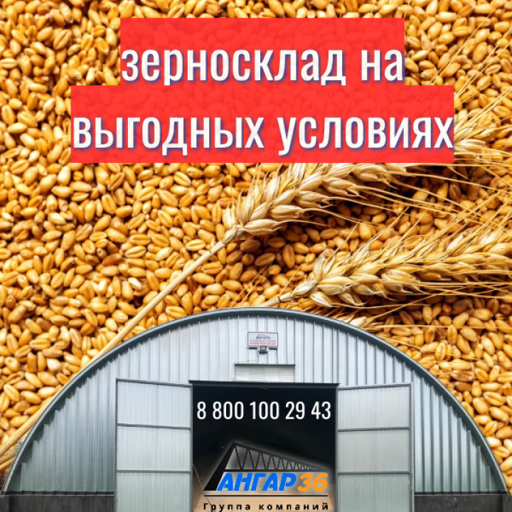 Эффективное Хранение Урожая: Зерносклады в Арочных Бескаркасных Ангарах от АНГАР36 в Рязанской Области, ГК "Ангар 36"